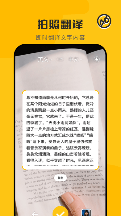 蜜蜂翻译