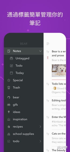 熊掌记bear