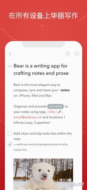 熊掌记bear