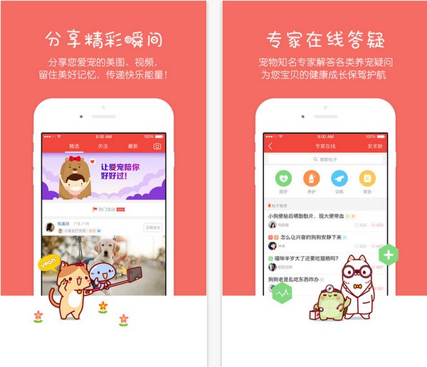 有宠下载