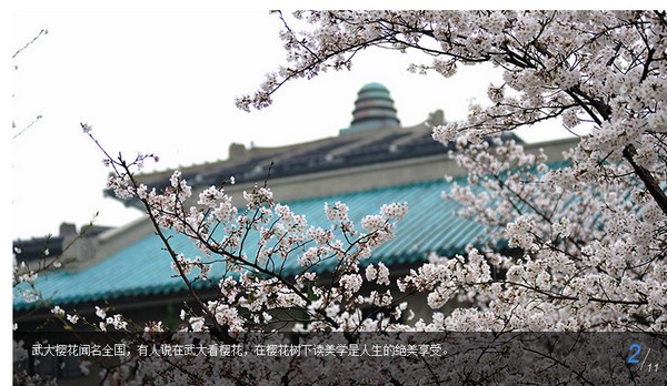 武汉大学app