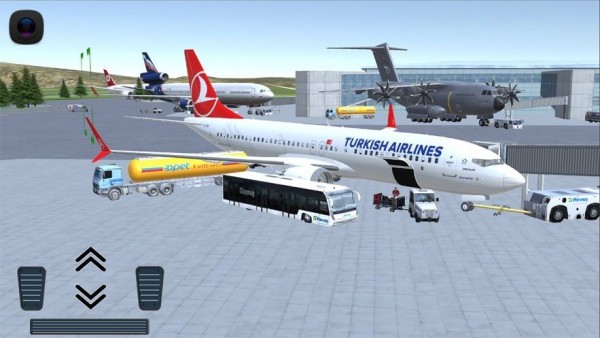 Flight737