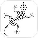 艺术蜥蜴app V2.5
