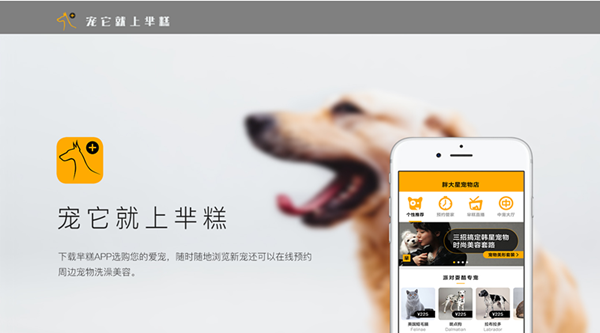 芈糕宠物app