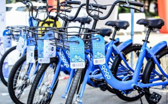 Bluegogo app