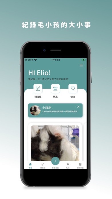 BBF宠物记录iOS