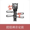 琵琶调音器 v3.3