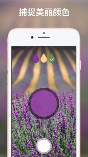 Bloom绘本app