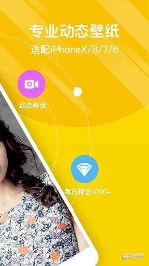 熊猫动态壁纸软件下载