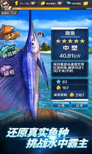 胡克钓鱼iOS版