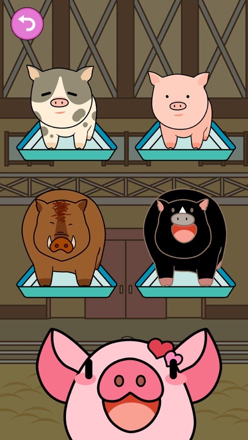 猪猪来了红包版