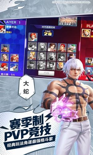 拳魂觉醒iOS版
