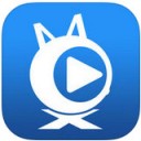 迈视财经app v1.6