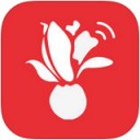 i Shanghai app V4.4.0