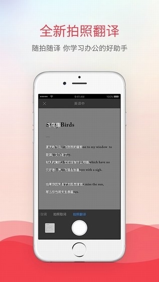 有道词典本地增强版下载