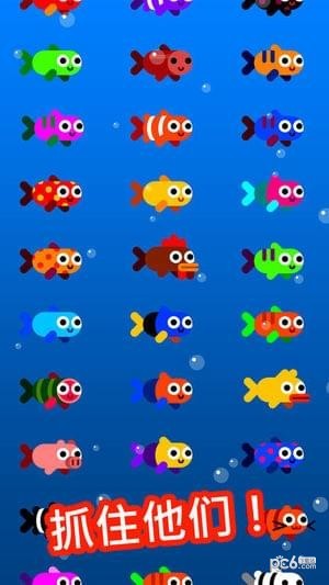 Fish Trip
