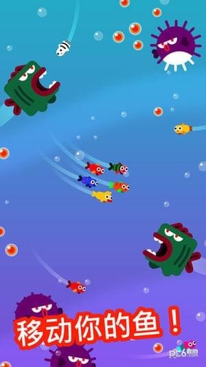 Fish Trip