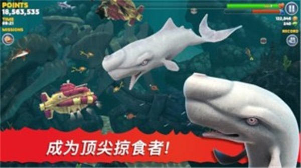 饥饿鲨鱼进化论