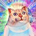 奇怪猫