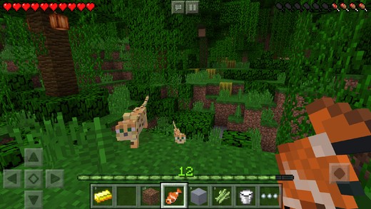 我的世界IOS 1.1版本