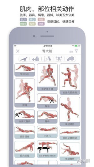 运动解剖下载