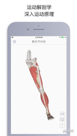 运动解剖下载