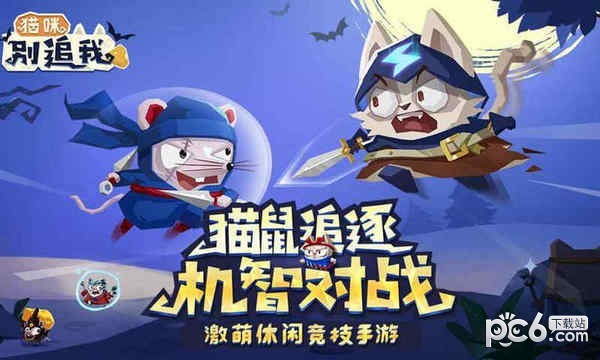猫咪别追我
