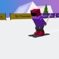 Ski Mountain