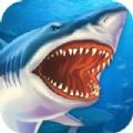鲨鱼街玩 v1.0.3