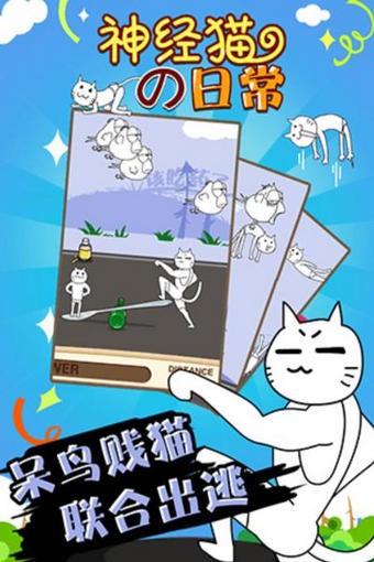 神经猫的日常 神经猫的日常