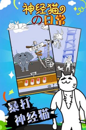 神经猫的日常 神经猫的日常