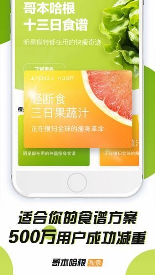 哥本哈根减肥法下载