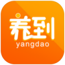 养到客户端app