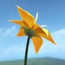 Flower IOS版