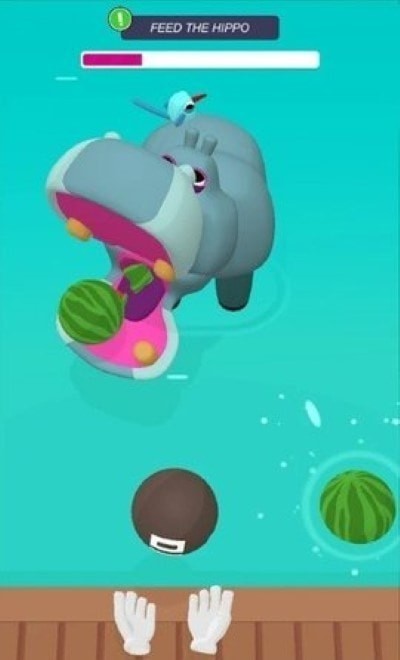 动物园快乐的动物 动物园快乐的动物