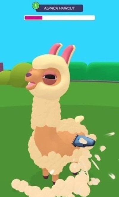 动物园快乐的动物 动物园快乐的动物