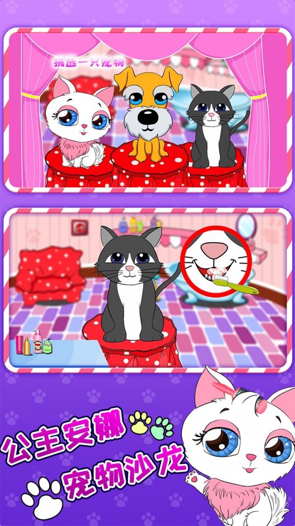 公主安娜宠物沙龙 公主安娜宠物沙龙