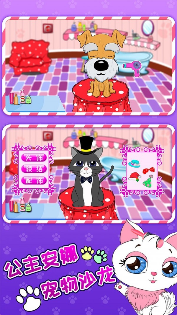 公主安娜宠物沙龙 公主安娜宠物沙龙