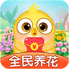 全民养花红包版