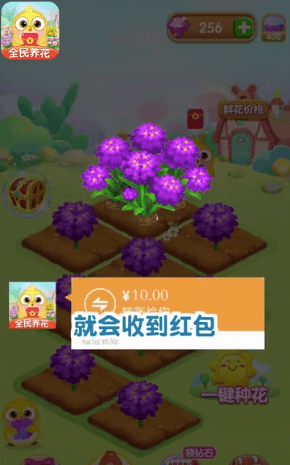 全民养花红包版