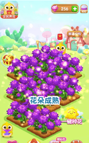 全民养花红包版