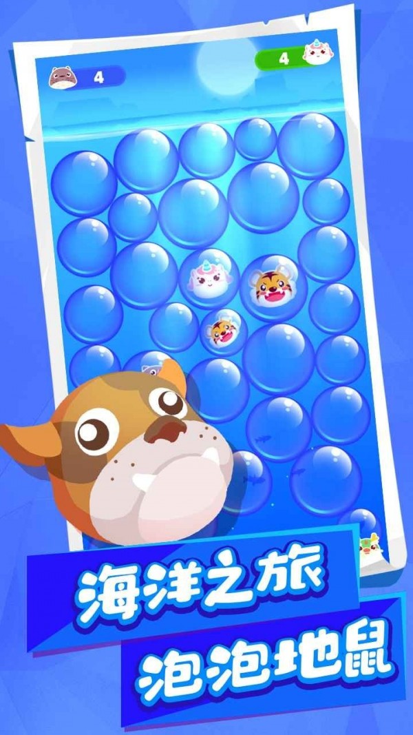 动物碰碰乐 动物碰碰乐