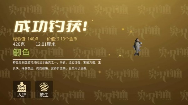 实况钓鱼之终极钓手