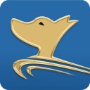 城市货的 v2.3.8