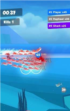 水下捕食者竞赛 水下捕食者竞赛