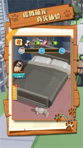 拆家萌宠 拆家萌宠