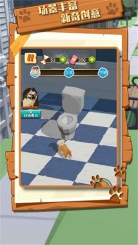 拆家萌宠 拆家萌宠