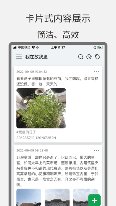 大树日记iOS