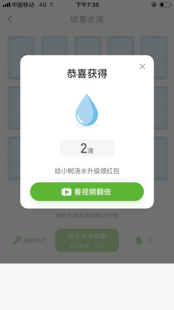 欢乐森林