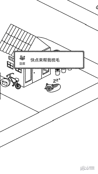 猫咪真的超可爱